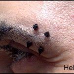piercing ceja