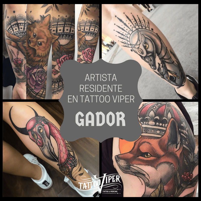 tataudora de neotradicional